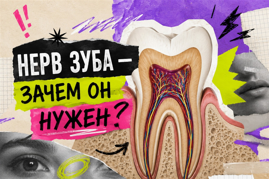 Зачем нужны нервы в зубах?