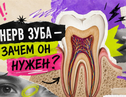 Зачем нужны нервы в зубах?